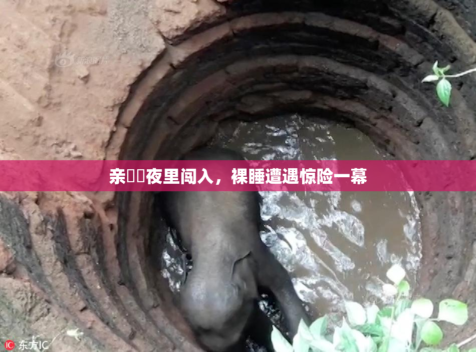 亲妺妺夜里闯入，裸睡遭遇惊险一幕