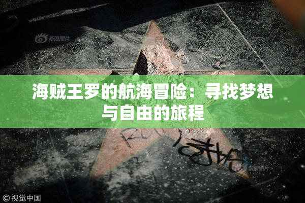 海贼王罗的航海冒险：寻找梦想与自由的旅程