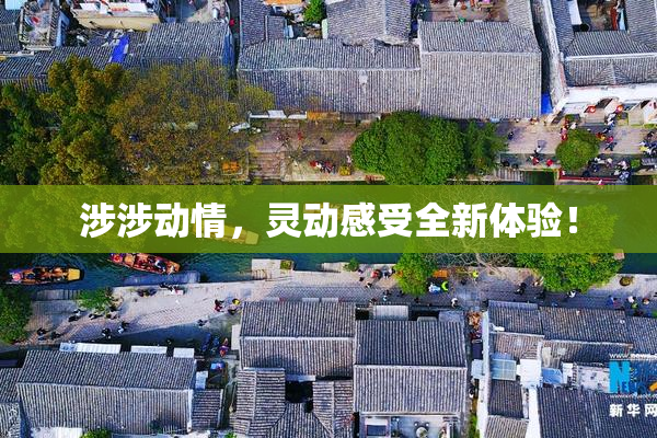 涉涉动情，灵动感受全新体验！
