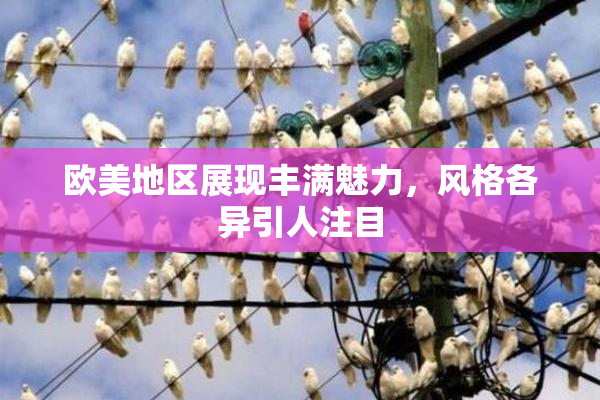 欧美地区展现丰满魅力，风格各异引人注目