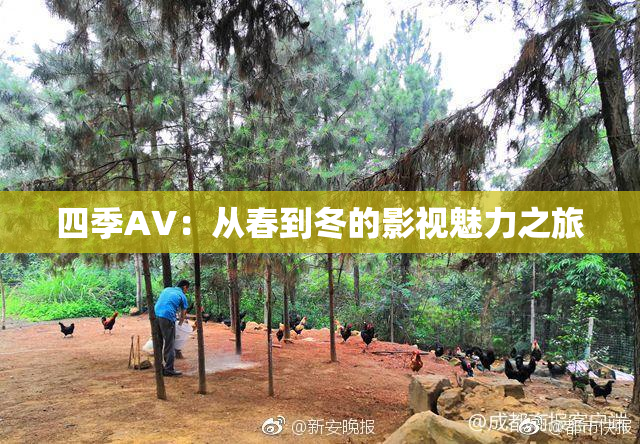 四季AV：从春到冬的影视魅力之旅