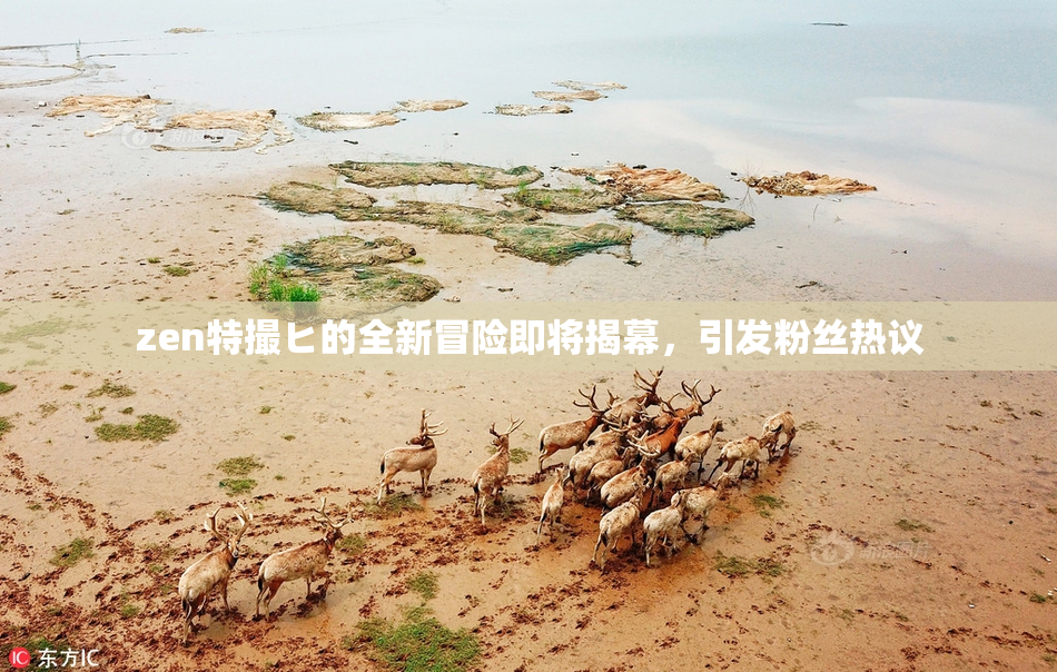 zen特撮ヒ的全新冒险即将揭幕，引发粉丝热议