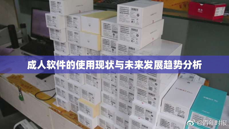 成人软件的使用现状与未来发展趋势分析