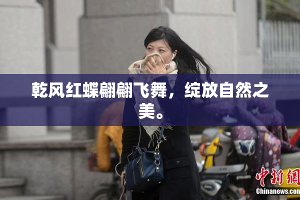 乾风红蝶翩翩飞舞，绽放自然之美。