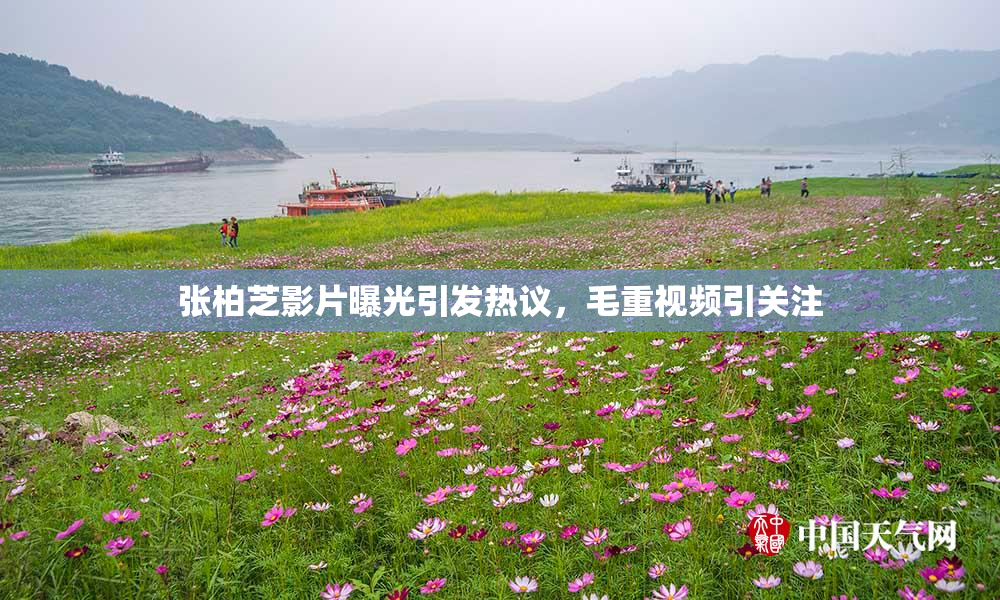 张柏芝影片曝光引发热议，毛重视频引关注
