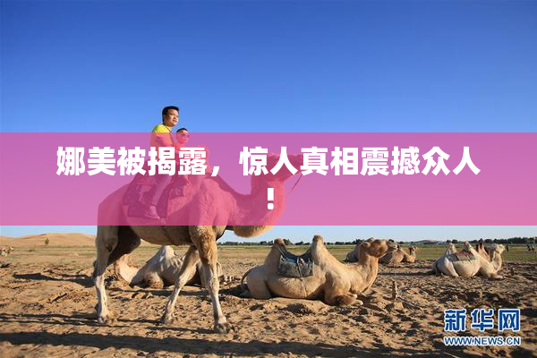 娜美被揭露，惊人真相震撼众人!