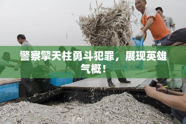 警察擎天柱勇斗犯罪，展现英雄气概！
