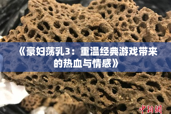《豪妇荡乳3：重温经典游戏带来的热血与情感》