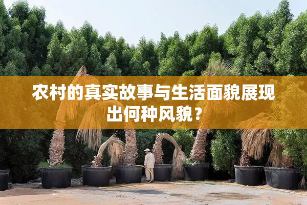 农村的真实故事与生活面貌展现出何种风貌？