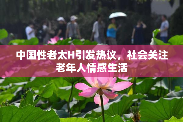 中国性老太H引发热议，社会关注老年人情感生活