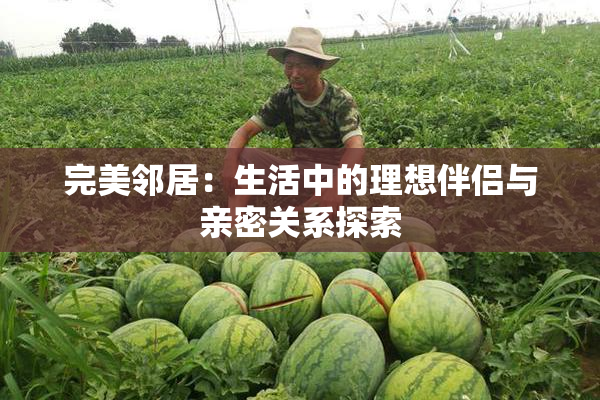 完美邻居：生活中的理想伴侣与亲密关系探索