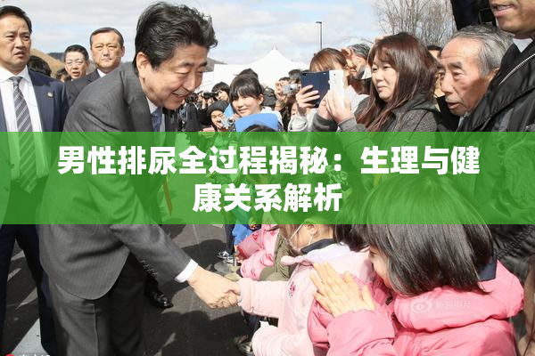 男性排尿全过程揭秘：生理与健康关系解析