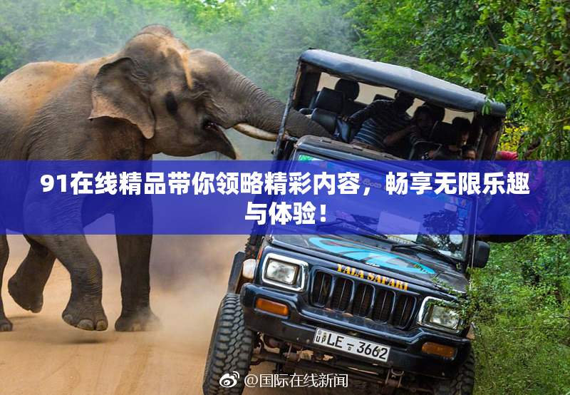 91在线精品带你领略精彩内容，畅享无限乐趣与体验！