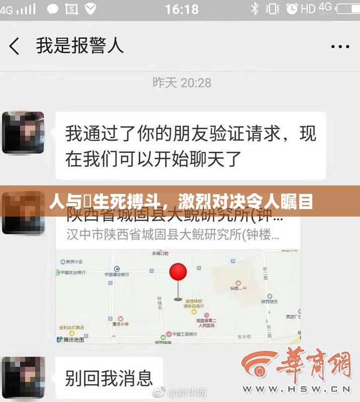 人与嘼生死搏斗，激烈对决令人瞩目