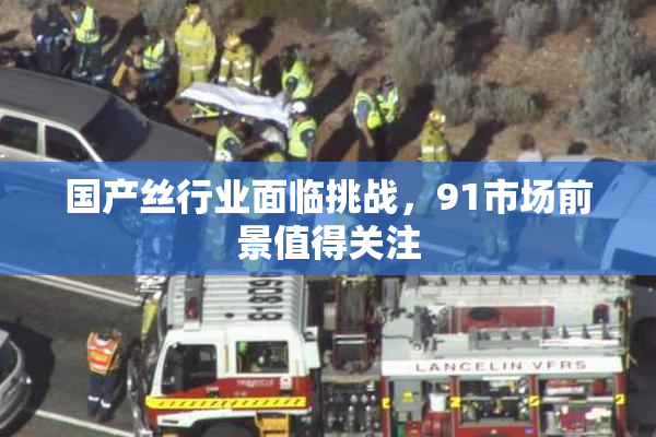 国产丝行业面临挑战，91市场前景值得关注