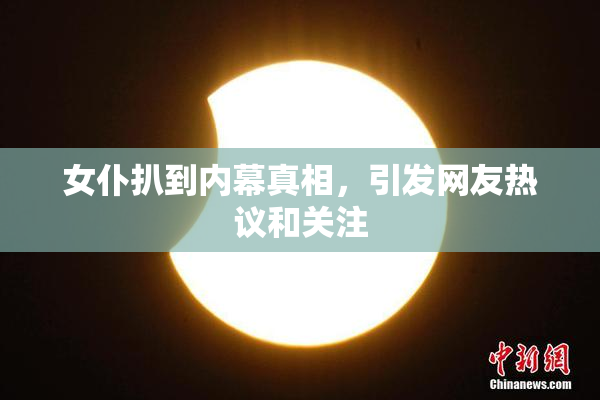 女仆扒到内幕真相，引发网友热议和关注