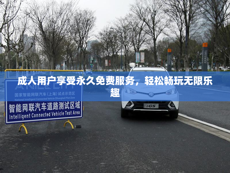 成人用户享受永久免费服务，轻松畅玩无限乐趣
