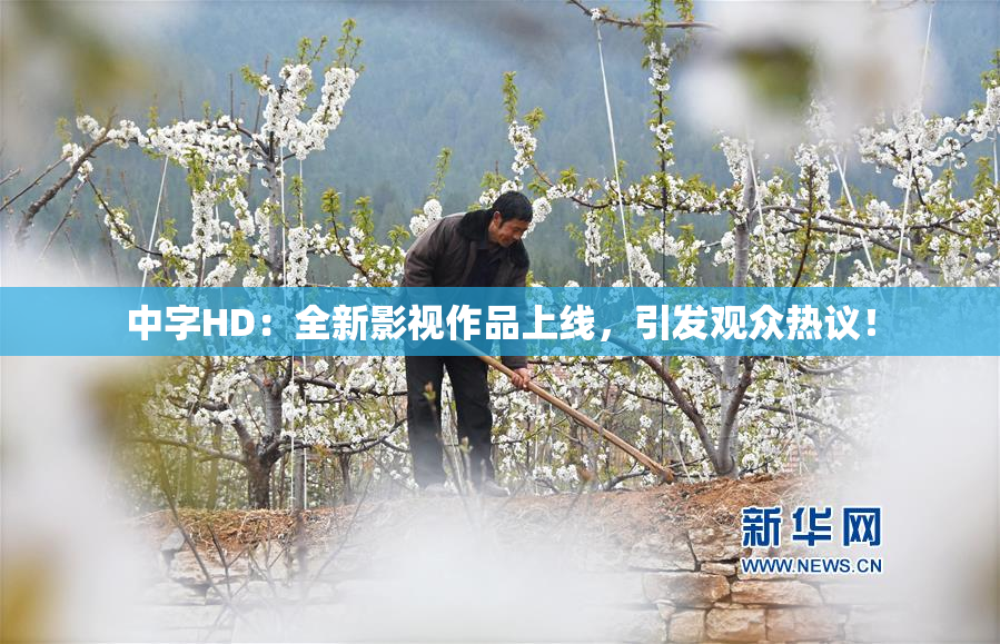 中字HD：全新影视作品上线，引发观众热议！