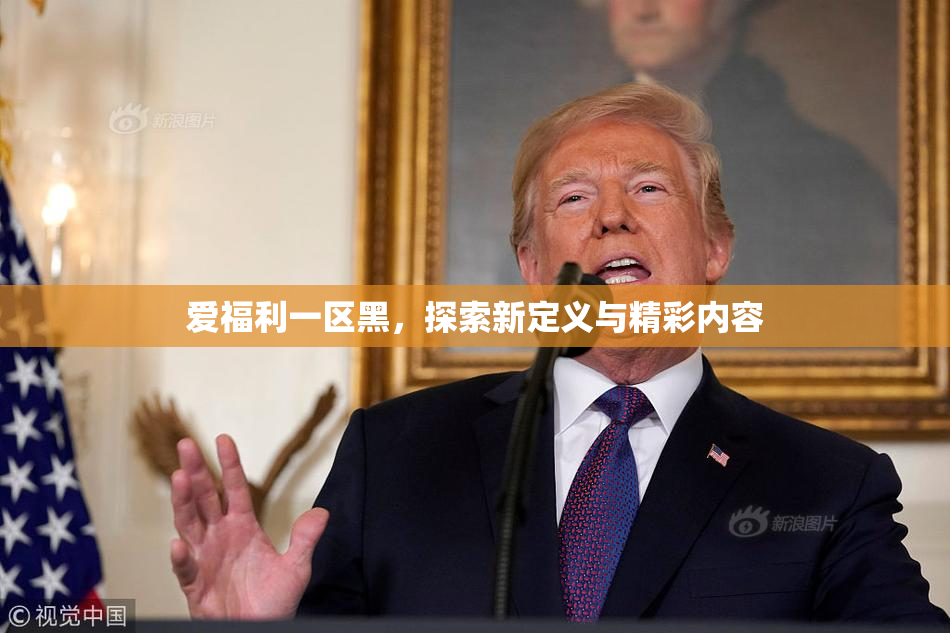 爱福利一区黑，探索新定义与精彩内容