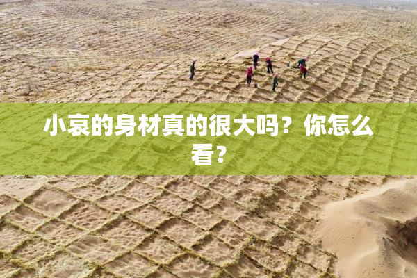 小哀的身材真的很大吗？你怎么看？
