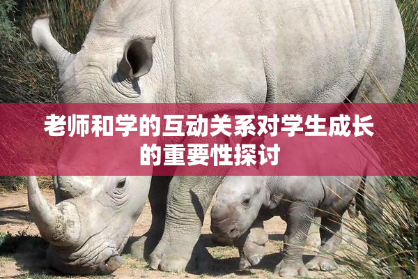 老师和学的互动关系对学生成长的重要性探讨