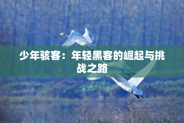 少年骇客：年轻黑客的崛起与挑战之路