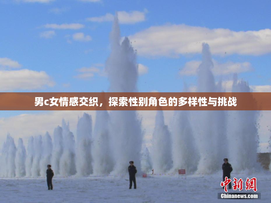 男c女情感交织，探索性别角色的多样性与挑战