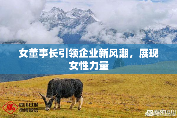 女董事长引领企业新风潮，展现女性力量