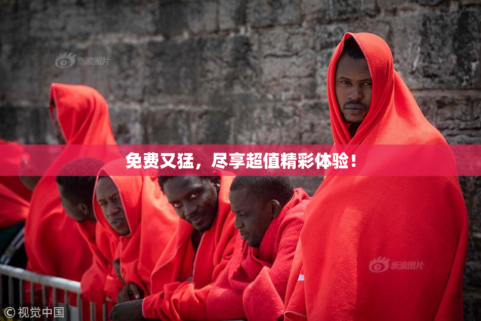 免费又猛，尽享超值精彩体验！