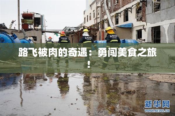 路飞被肉的奇遇：勇闯美食之旅！