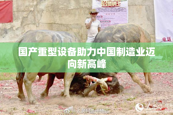 国产重型设备助力中国制造业迈向新高峰