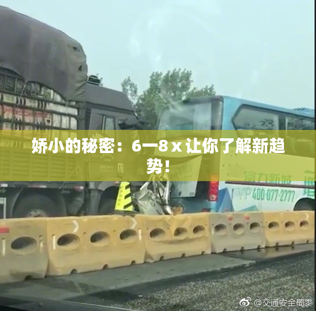 娇小的秘密：6一8ⅹ让你了解新趋势！