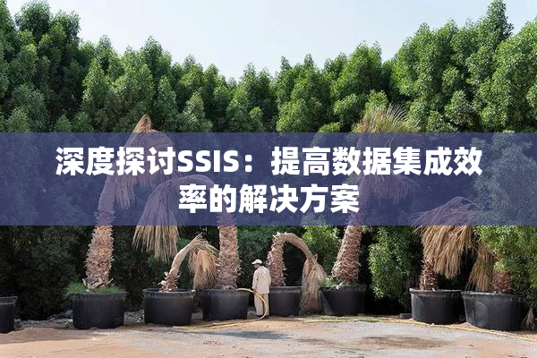 深度探讨SSIS：提高数据集成效率的解决方案