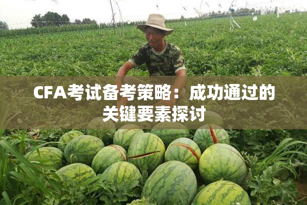 CFA考试备考策略：成功通过的关键要素探讨