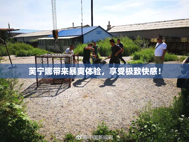 芙宁娜带来暴爽体验，享受极致快感！