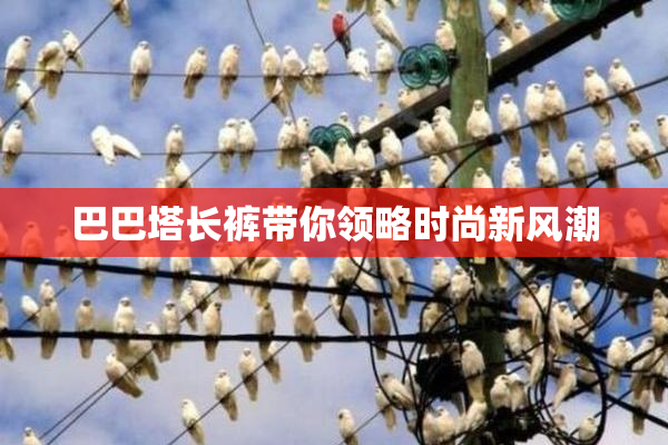 巴巴塔长裤带你领略时尚新风潮
