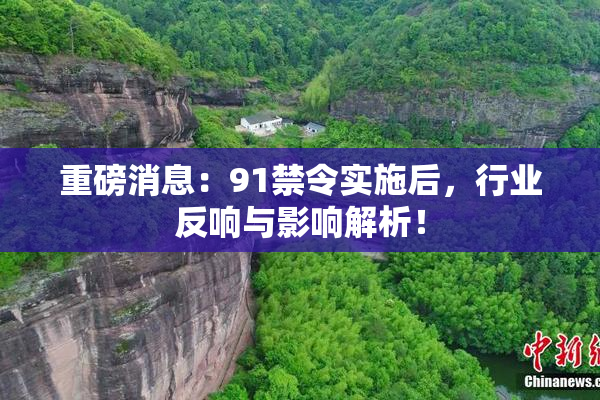重磅消息：91禁令实施后，行业反响与影响解析！