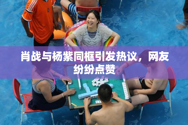 肖战与杨紫同框引发热议，网友纷纷点赞