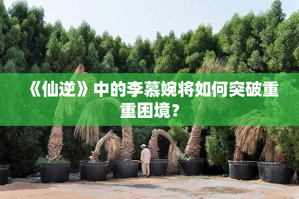 《仙逆》中的李慕婉将如何突破重重困境？