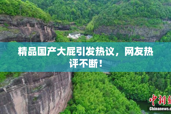 精品国产大屁引发热议，网友热评不断！