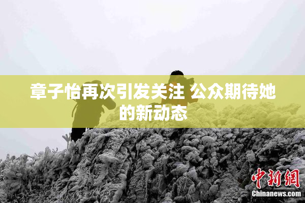 章子怡再次引发关注 公众期待她的新动态