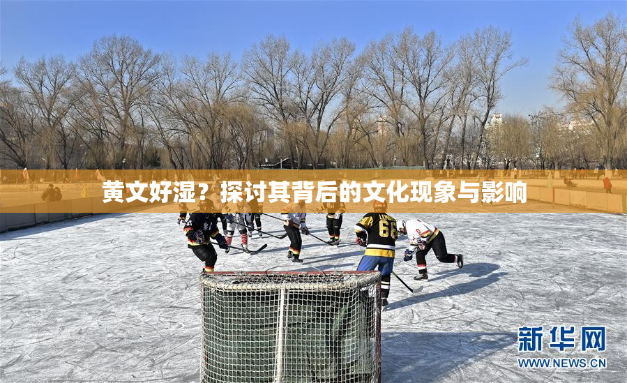 黄文好湿？探讨其背后的文化现象与影响