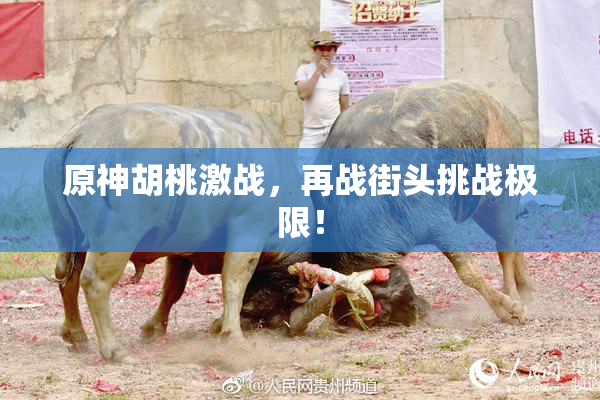 原神胡桃激战，再战街头挑战极限！