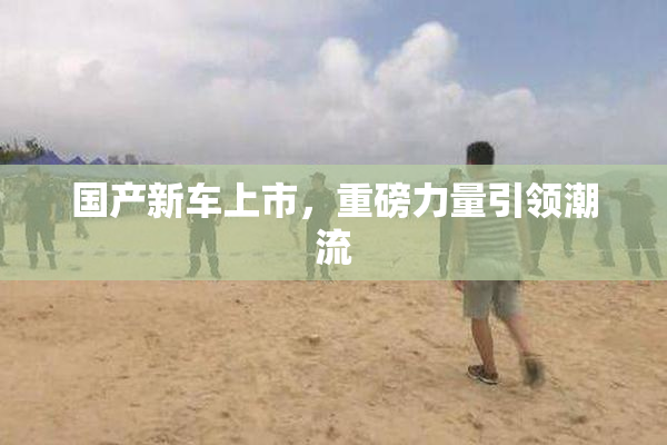国产新车上市，重磅力量引领潮流