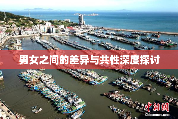 男女之间的差异与共性深度探讨