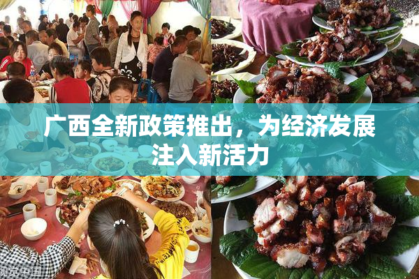 广西全新政策推出，为经济发展注入新活力