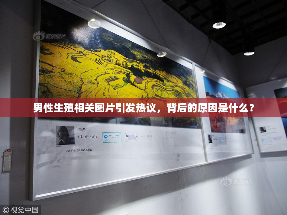 男性生殖相关图片引发热议，背后的原因是什么？