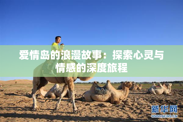 爱情岛的浪漫故事：探索心灵与情感的深度旅程