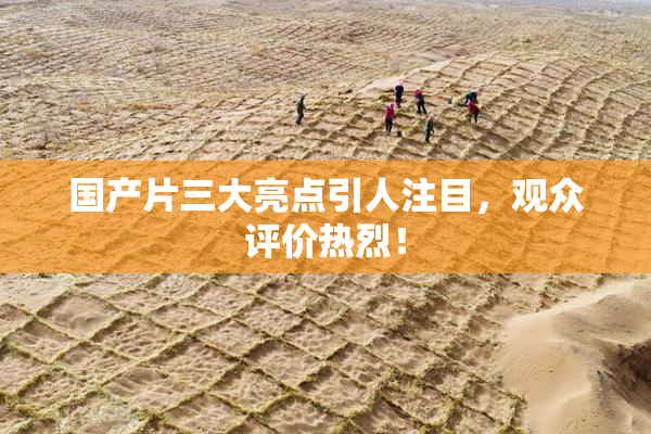 国产片三大亮点引人注目，观众评价热烈！