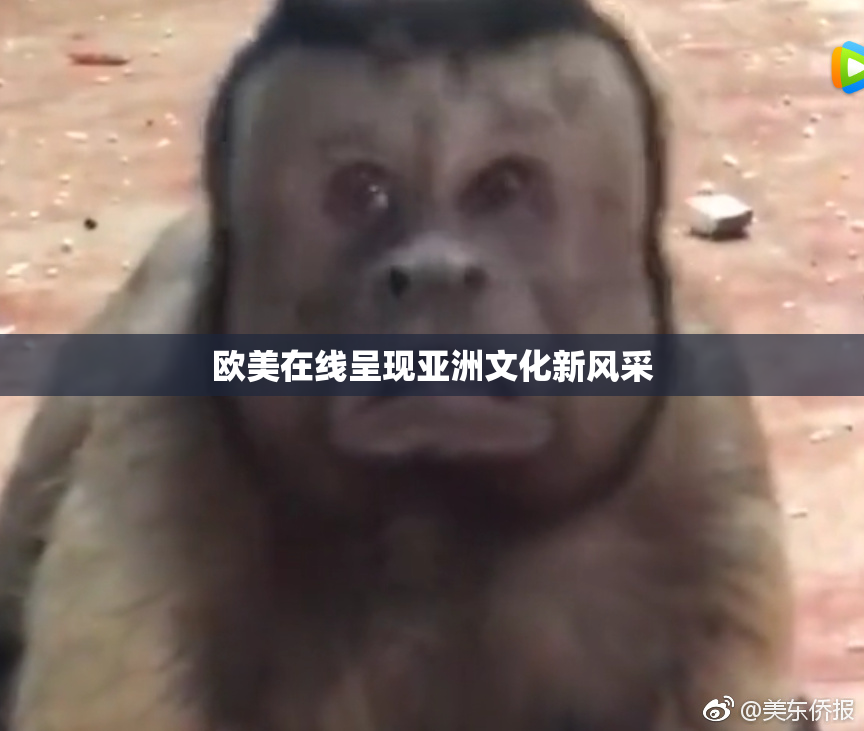 欧美在线呈现亚洲文化新风采